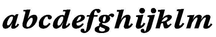 TrueSerif UltraBoldItalic FONT