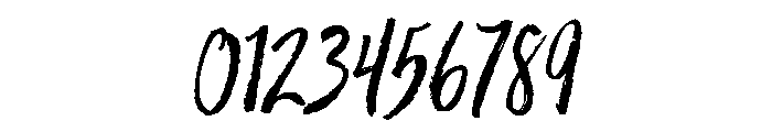 Trailmade Regular Italic Font OTHER CHARS