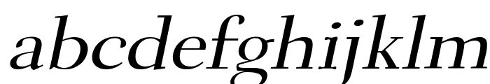 Transit Wide Italic Font LOWERCASE