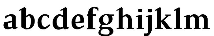 TS-Chapinero-Serif Medium Font LOWERCASE