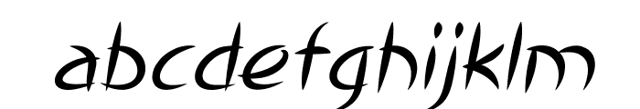 TsetsuItalic Font LOWERCASE