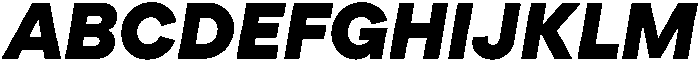 TT Turns Black Italic otf (900) Font UPPERCASE