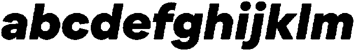 TT Turns Black Italic otf (900) FONT