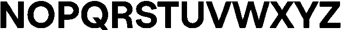 TT Turns Bold otf (700) Font UPPERCASE