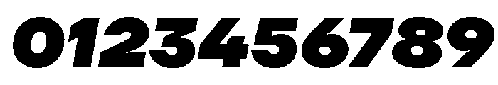 TT Firs Neue Trl Black It Font OTHER CHARS