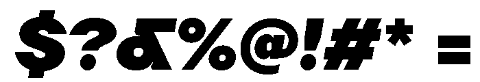 TT Firs Neue Trl Black It Font OTHER CHARS