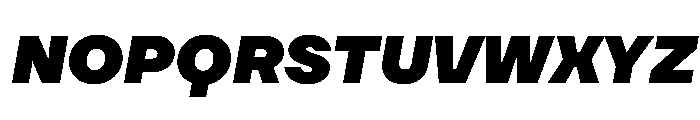 TT Firs Neue Trl Black It Font UPPERCASE