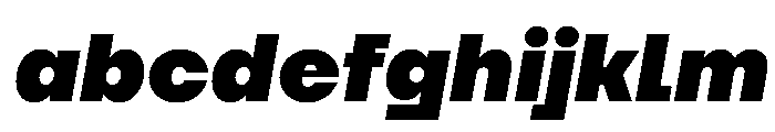 TT Firs Neue Trl Black It FONT