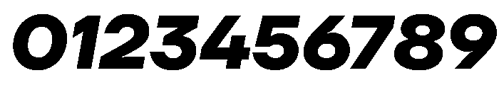 TT Firs Neue Trl Bold It Font OTHER CHARS