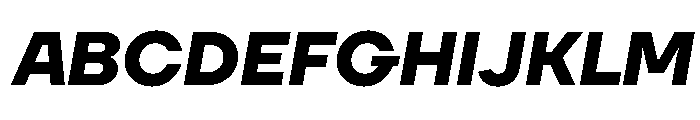 TT Firs Neue Trl Bold It Font UPPERCASE