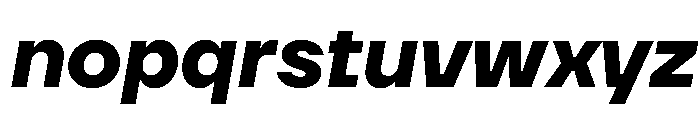 TT Firs Neue Trl Bold It Font LOWERCASE
