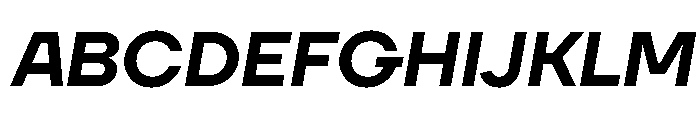 TT Firs Neue Trl DemiBold It Font UPPERCASE