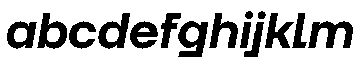 TT Firs Neue Trl DemiBold It FONT