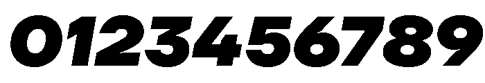 TT Firs Neue Trl ExtraBold It Font OTHER CHARS