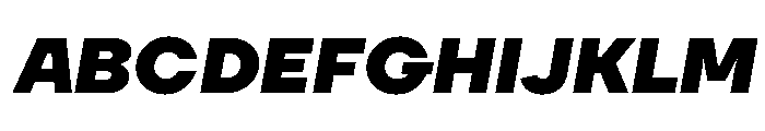 TT Firs Neue Trl ExtraBold It Font UPPERCASE