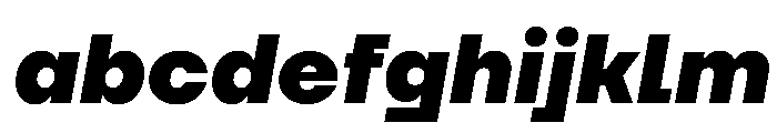 TT Firs Neue Trl ExtraBold It FONT