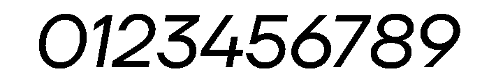TT Firs Neue Trl It Font OTHER CHARS