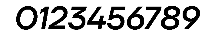 TT Firs Neue Trl Medium It Font OTHER CHARS