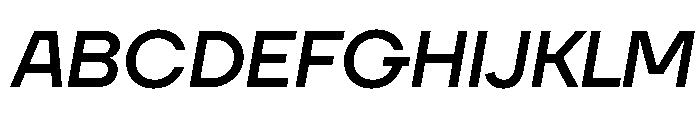 TT Firs Neue Trl Medium It Font UPPERCASE