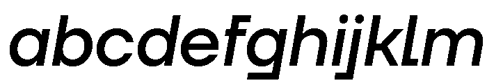 TT Firs Neue Trl Medium It FONT