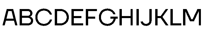 TT Firs Neue Trl Regular Font UPPERCASE