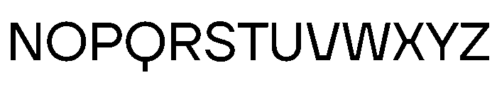 TT Firs Neue Trl Regular Font UPPERCASE