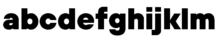 TT Hoves Pro Trial Black FONT