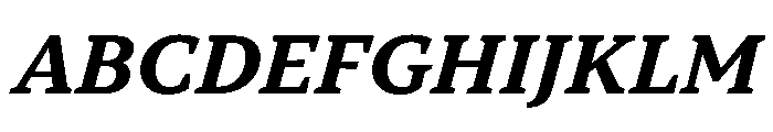 TT Norms Pro Serif Trl Bd It Font UPPERCASE