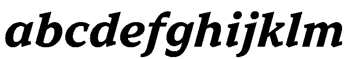TT Norms Pro Serif Trl Bd It FONT