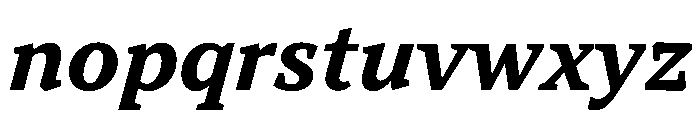 TT Norms Pro Serif Trl Bd It Font LOWERCASE