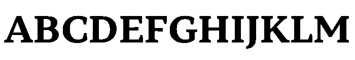 TT Norms Pro Serif Trl Bd Font UPPERCASE