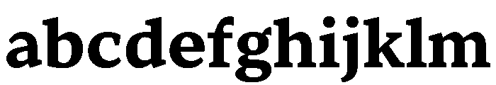 TT Norms Pro Serif Trl Bd FONT