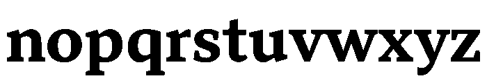 TT Norms Pro Serif Trl Bd Font LOWERCASE