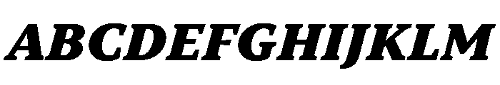 TT Norms Pro Serif Trl Blc It Font UPPERCASE