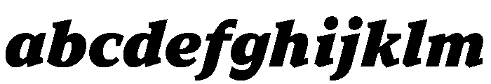 TT Norms Pro Serif Trl Blc It FONT