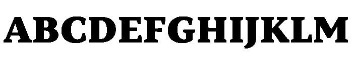 TT Norms Pro Serif Trl Blc Font UPPERCASE