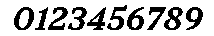 TT Norms Pro Serif Trl Db It Font OTHER CHARS