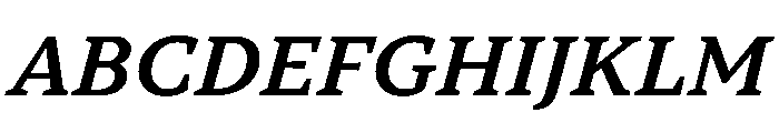 TT Norms Pro Serif Trl Db It Font UPPERCASE