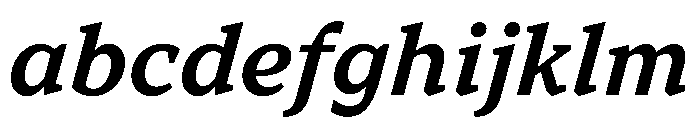 TT Norms Pro Serif Trl Db It FONT