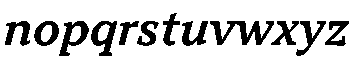 TT Norms Pro Serif Trl Db It Font LOWERCASE