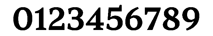 TT Norms Pro Serif Trl Db Font OTHER CHARS