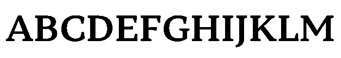 TT Norms Pro Serif Trl Db Font UPPERCASE