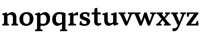 TT Norms Pro Serif Trl Db Font LOWERCASE