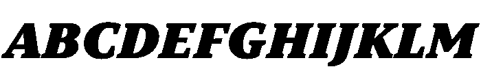 TT Norms Pro Serif Trl ExtraBlc It Font UPPERCASE