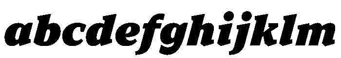 TT Norms Pro Serif Trl ExtraBlc It FONT