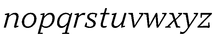 TT Norms Pro Serif Trl It Font LOWERCASE