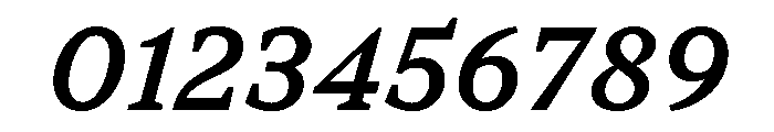TT Norms Pro Serif Trl Md It Font OTHER CHARS