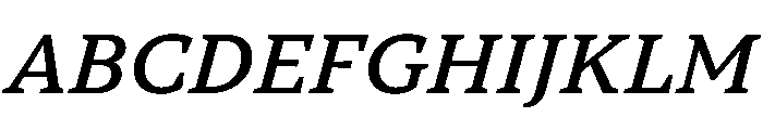 TT Norms Pro Serif Trl Md It Font UPPERCASE