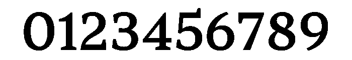 TT Norms Pro Serif Trl Md Font OTHER CHARS