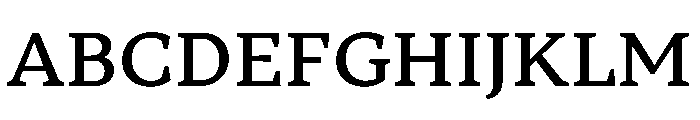 TT Norms Pro Serif Trl Md Font UPPERCASE